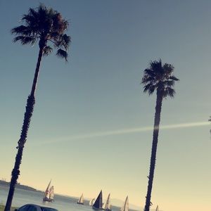 Meet your Posher, Francisco